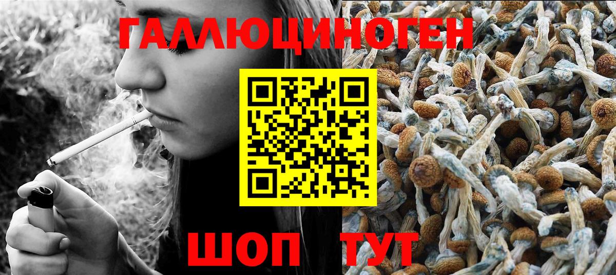 Галлюциногенные грибы Psilocybe  Вход с VPN  Сургут  Псилоцибиновые грибы GOLDEN TEACHER 