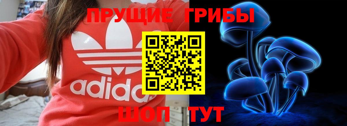 Галлюциногенные грибы GOLDEN TEACHER Сургут